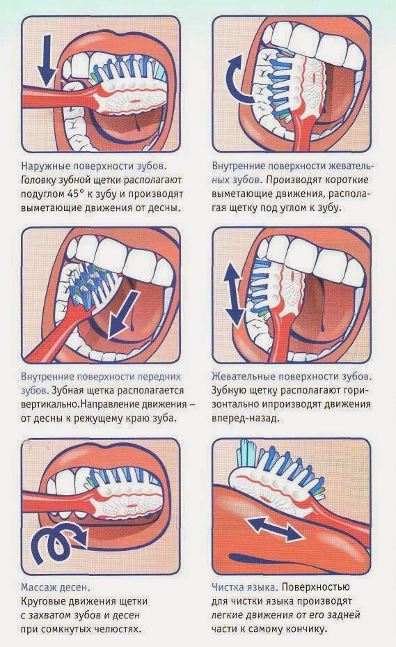 Правила чистки зубов в картинках