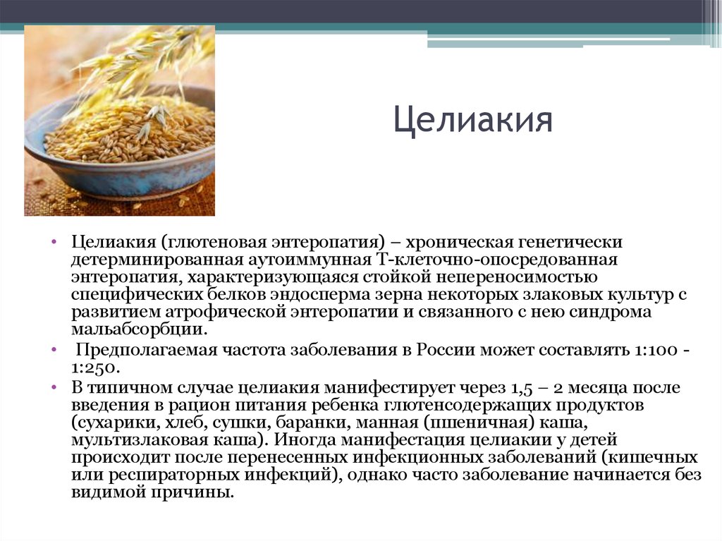 Что такое непереносимость глютена. Целиакия непереносимость глютена.