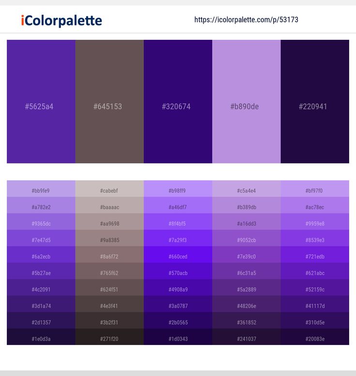 Сиреневый цвет и фиолетовый цвет разница фото как отличить