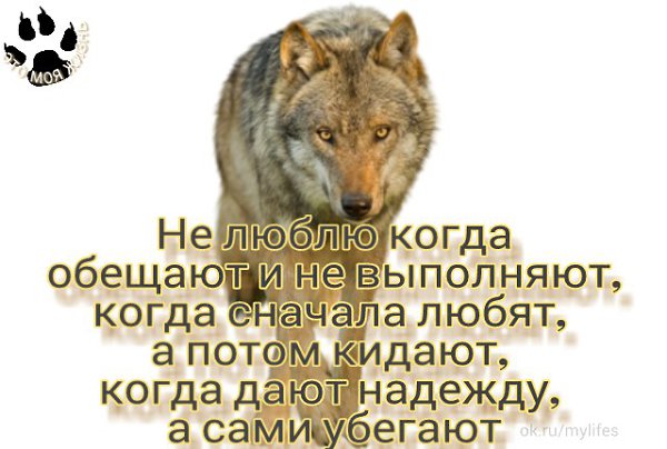 По какой схеме написано следующее предложение почему так поздно спросил отец ты обещал быть раньше