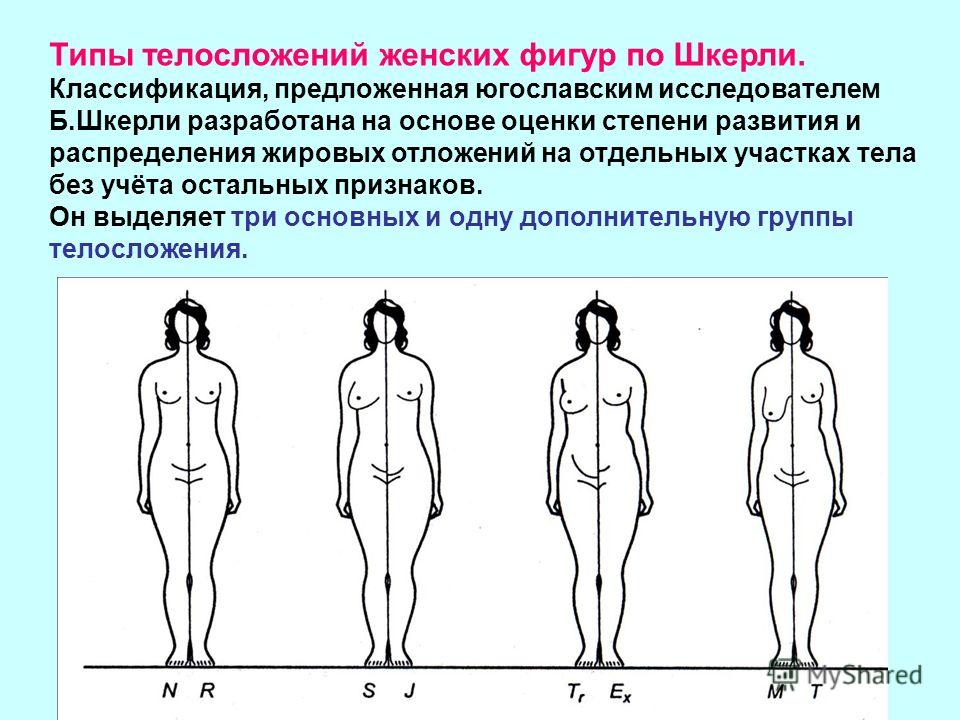 Для описания женских типов телосложения наиболее приемлема схема