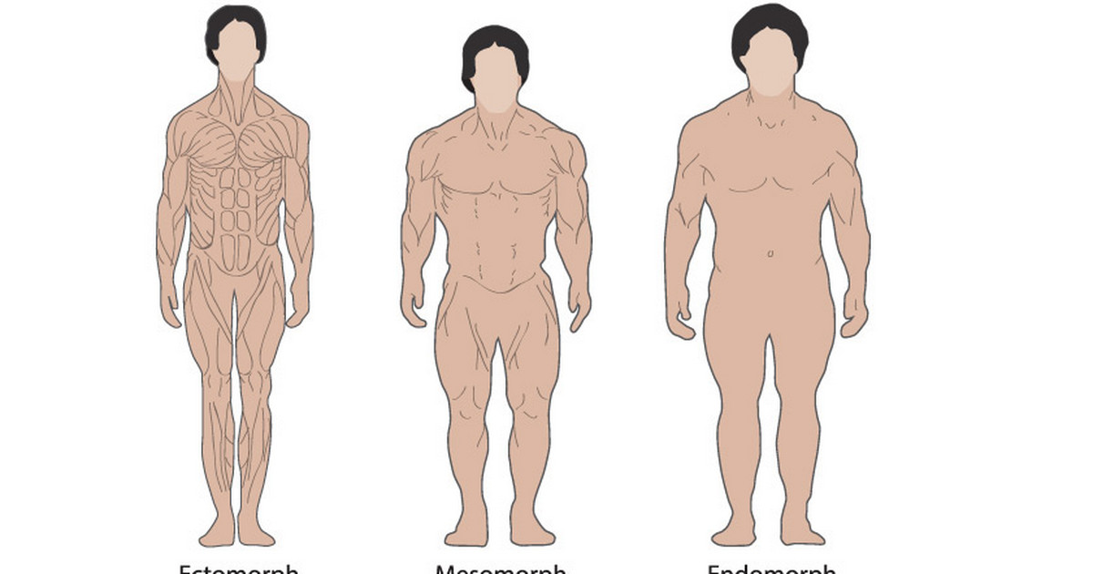 Что значит приземистый. Типы мужских фигур. Комплекция тела это. Коренастое Телосложение. Типы телосложения у мужчин.