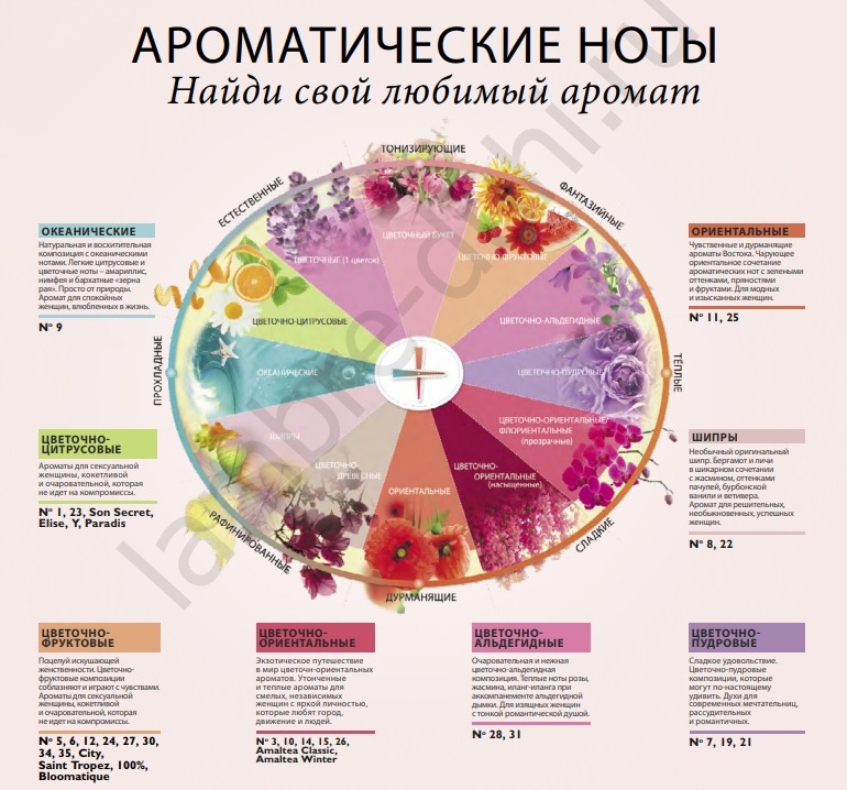 Запахи какого размеры. Классификация ароматов. Карта ароматов. Классификация женских ароматов. Классификация ароматов в парфюмерии.