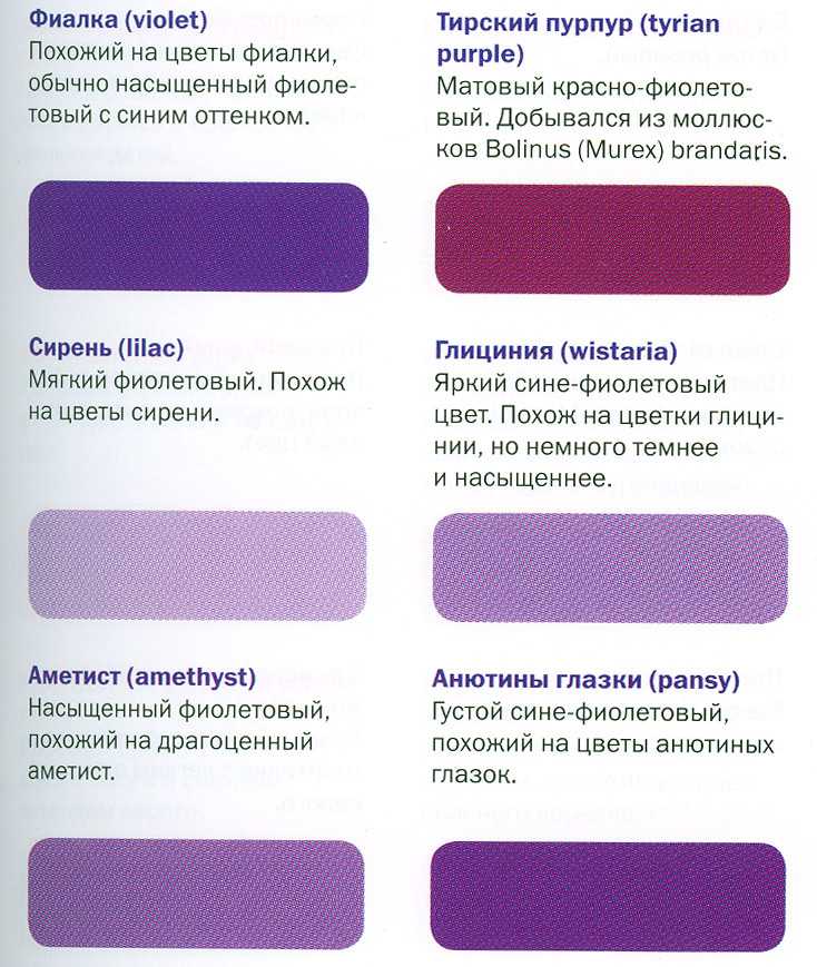 Что за цвет пурпурный фото и описание