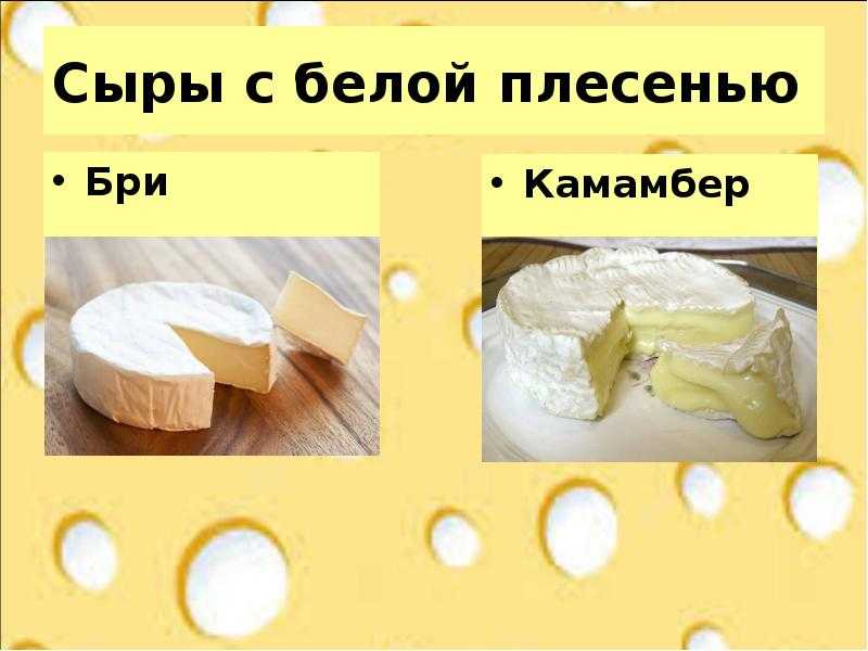 Чем отличается бри от камамбера