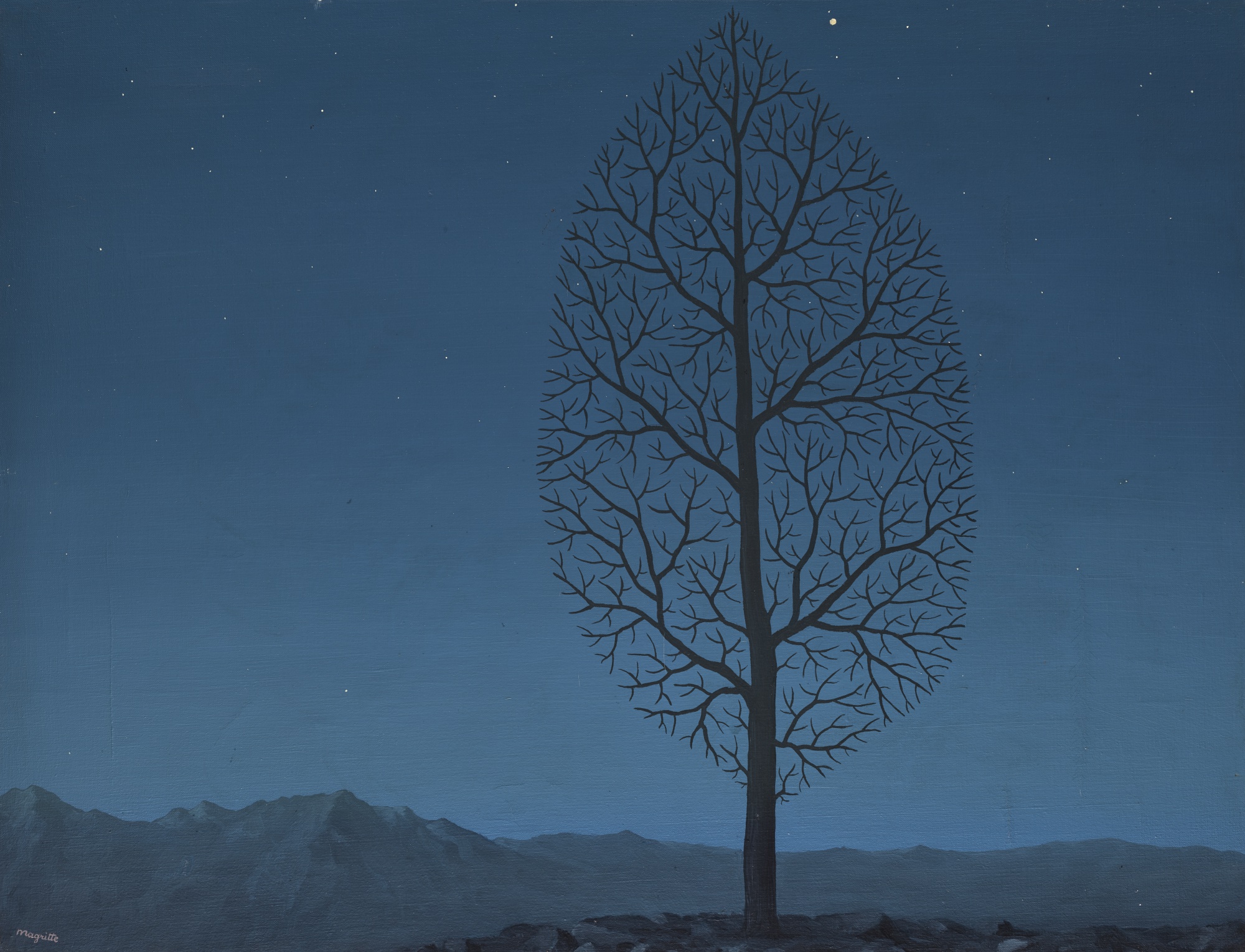 René magritte. Рене Магритт. Рене Магритт лес. Рене Магритт пейзажи. Рене Магритт дерево.