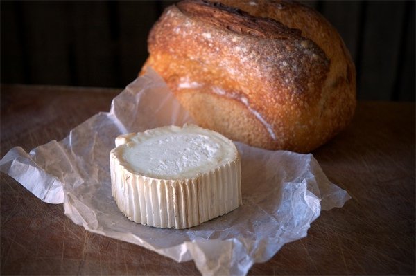 5 сыров, которые обязательно стоит попробовать, часть 3 - сыры из козьего молока