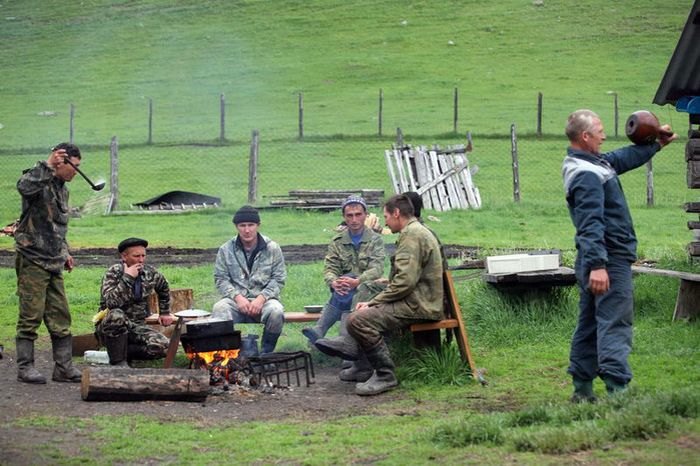 Как маралы лишаются самого ценного (72 фото)