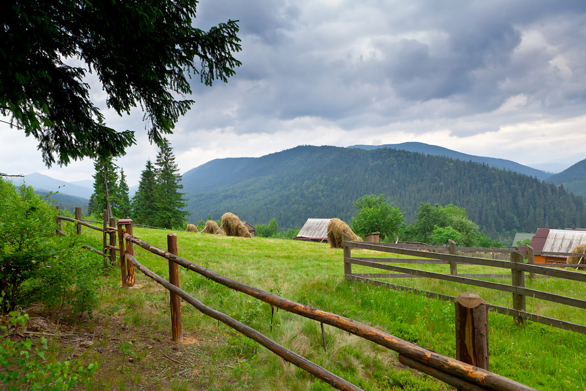 Природа западной. Село Яремче Карпаты. Прикарпатье деревня Яремча. Карпаты Буковина. Карпаты Украина деревни.