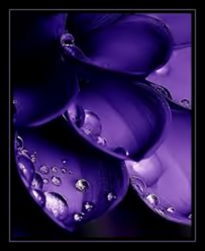 Вдохновение цветом: глубокий темно-фиолетовый, фото № 3