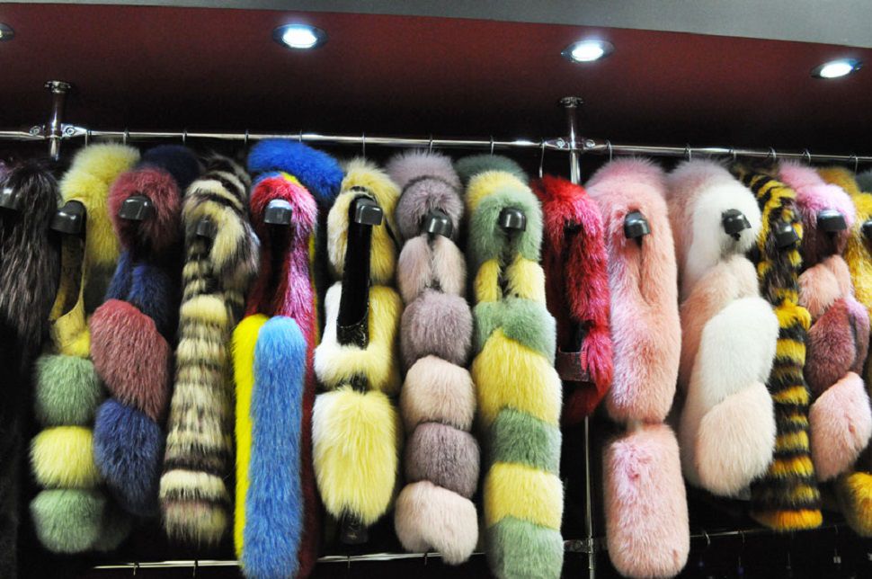 Выбираем яркие меховые наряды из розовой норки, зеленого каракуля или красной лисы: прощаемся с осенней хандрой, фото № 5 Выбираем яркие меховые наряды из розовой норки, зеленого каракуля или красной лисы: прощаемся с осенней хандрой, фото № 5