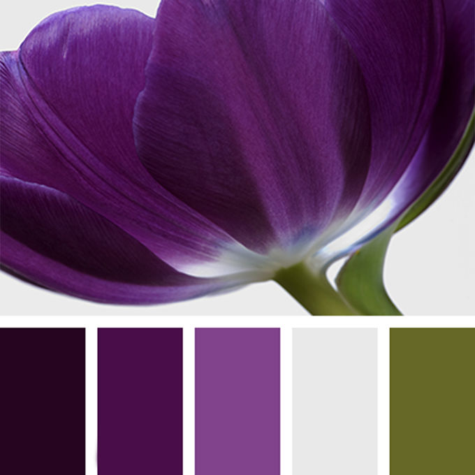Вдохновение цветом: глубокий темно-фиолетовый, фото № 11