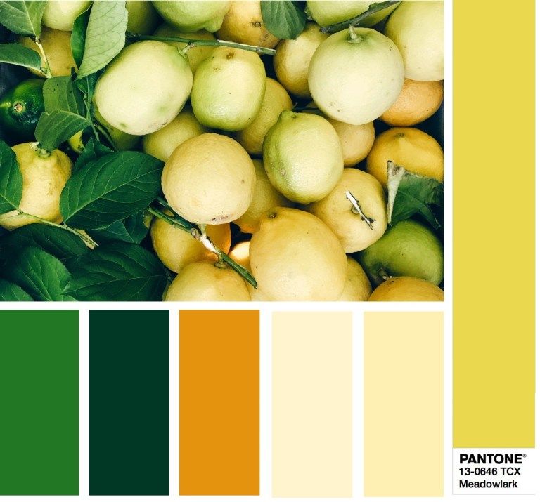 Главные цвета весны 2018 по версии Института Пантон, фото № 7