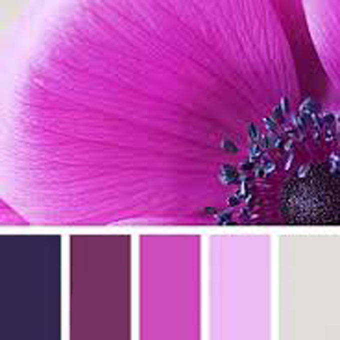 Вдохновение цветом: глубокий темно-фиолетовый, фото № 20