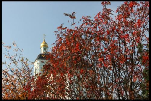 Как клены выглядят осенью. Фотоотчёт «Какого цвета клён осенний?» 13