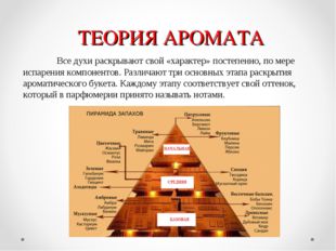 ТЕОРИЯ АРОМАТА 	Все духи раскрывают свой «характер» постепенно, по мере испар