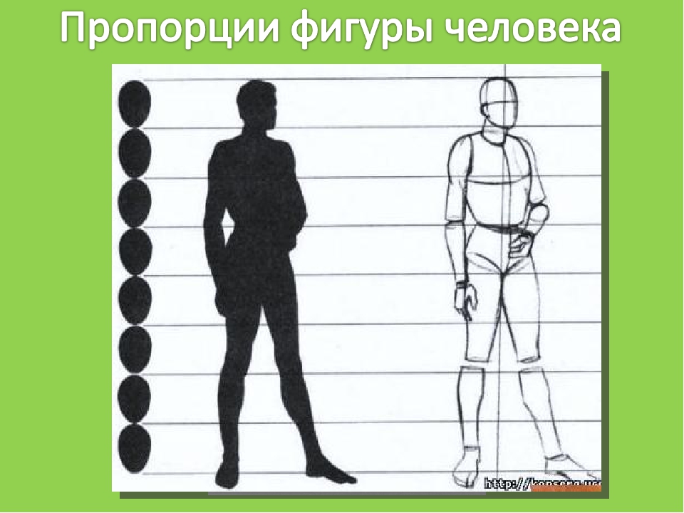 Изо пропорции выражают характер. Изображение фигуры человека. Пропорции человека. Изображение фигуры человека и образ человека. Пропорции фигуры человека.