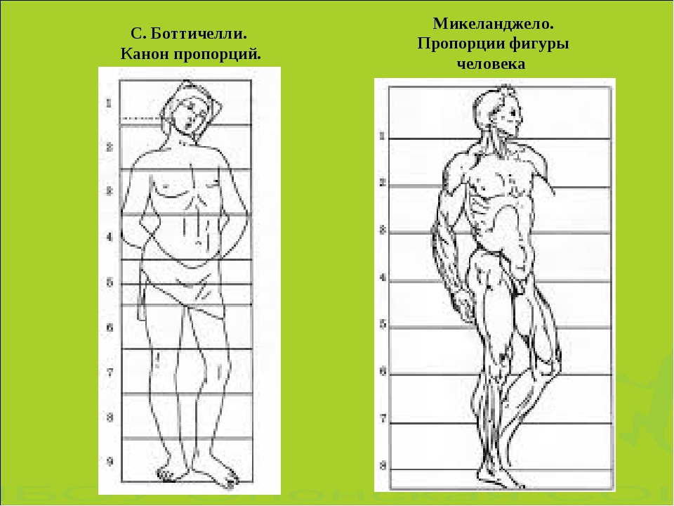 Соотношение пропорций. Боттичелли канон пропорций. Микеланджело пропорции фигуры. Канон фигуры человека Микеланджело. Микеланджело пропорции фигуры человека.