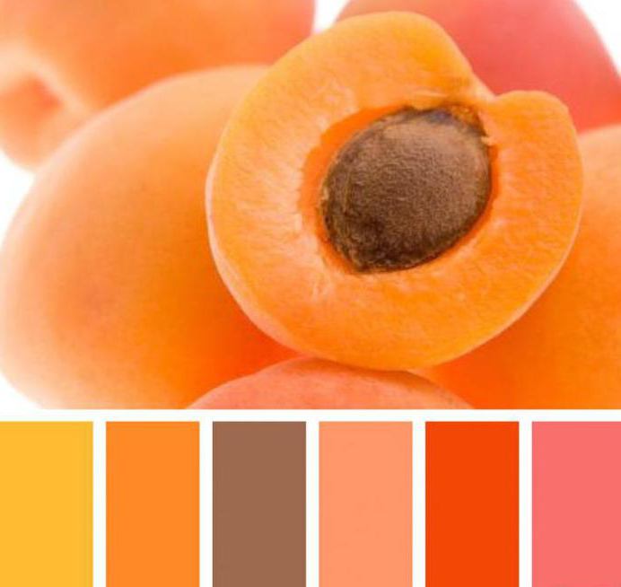 абрикосовый цвет в интерьере