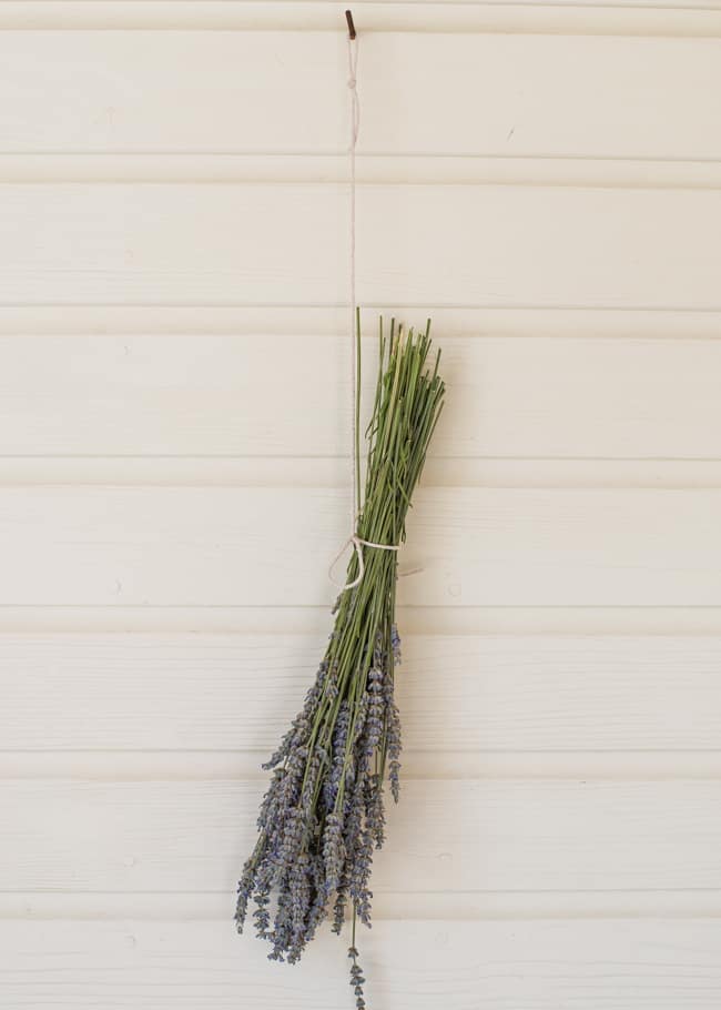 How To Dry Lavender 