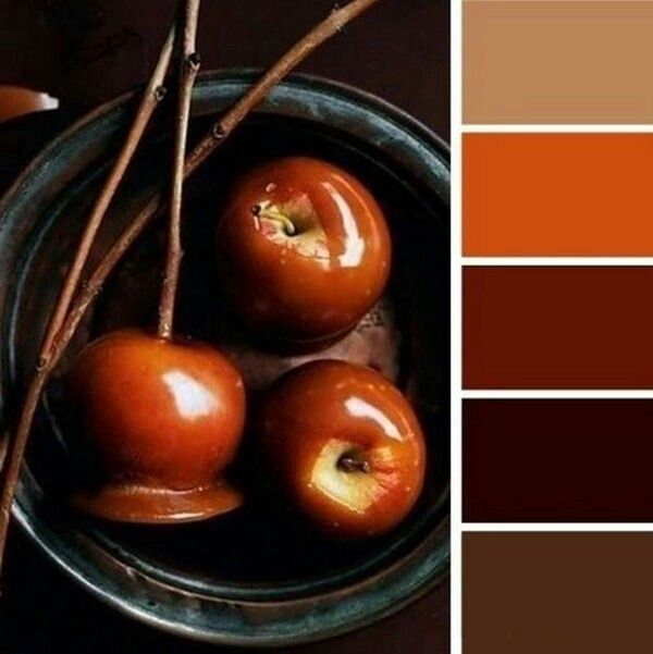 Сочетание цвета шоколадного:  цвет и его сочетания с другими .