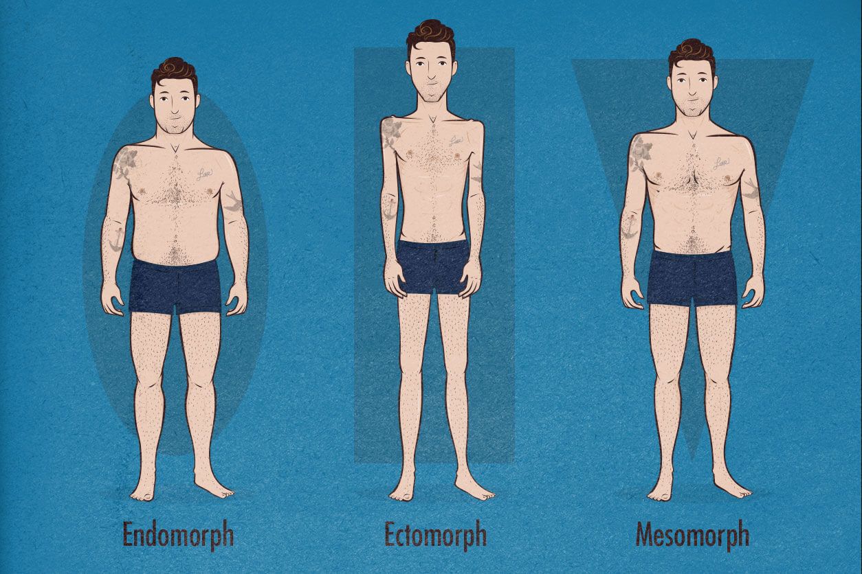 Три типа тела. Эктоморфное Телосложение мужчины. Эндоморф. Генетическое Телосложение. Эндоморф мужчина.