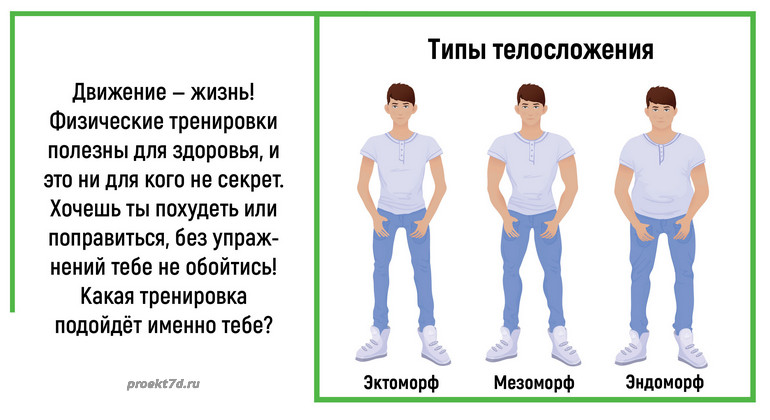 Виды телосложения у мужчин названия и фото