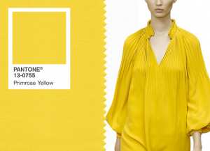Модные цвета - Primrose Yellow (Желтая примула)