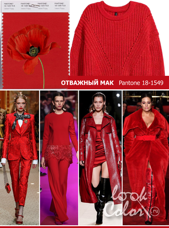 Модный цвет осень-зима 2018-2019 PANTONE 18-1549 Отважный Мак (Valiant Poppy)