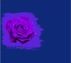 Сине-фиолетовая комбинация Сине-фиолетовая комбинация