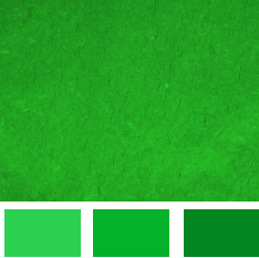 Зеленый цвет, оттенки зеленого цвета