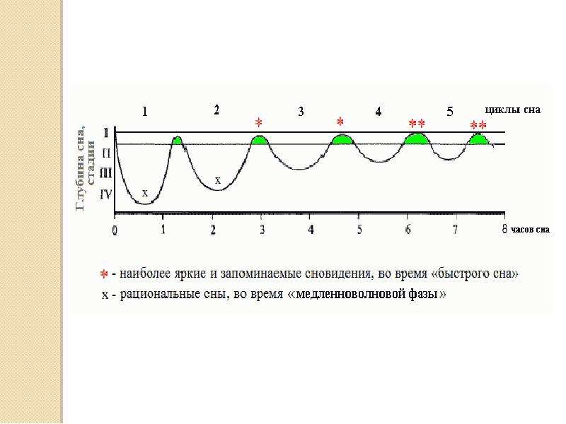 Цикл сна. Цикл сна человека. Физиологические изменения во время сна. Все циклы сна. Циклы сна у детей.