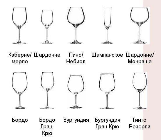 Как правильно держать бокалы этикет. Бокалы для вина по этикету. Бокалы под вино. Правильные бокалы для вина. Типы винных бокалов.