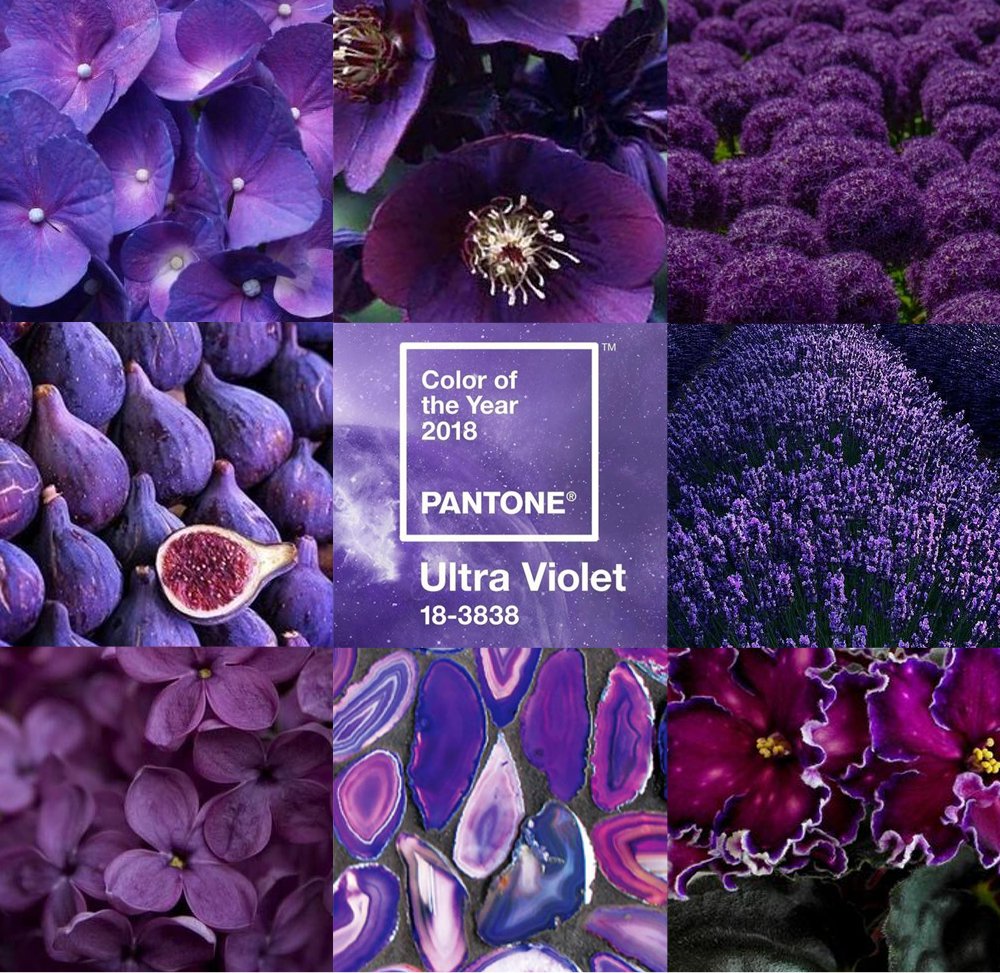 Фиолетовый цвет года. Pantone 18-3838 Ultra Violet. Пантон Violet. Пантон Ultraviolet. Фиолетовый цвет пантон.