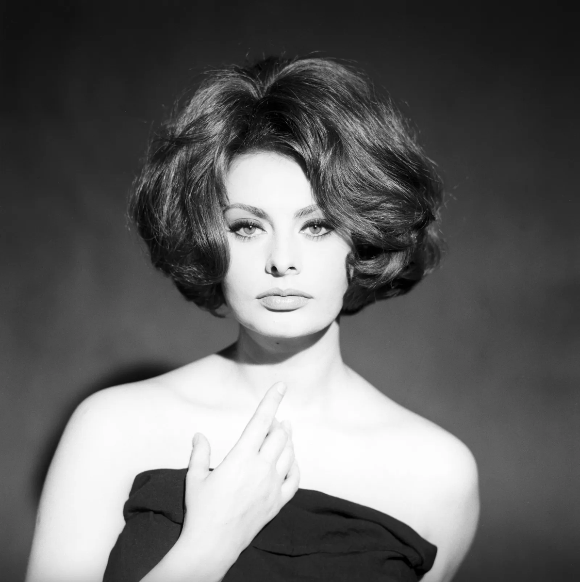 София лорен актриса: (Sophia Loren, Sofia Villani Scicolone) — — — —  huarache-shop.ru