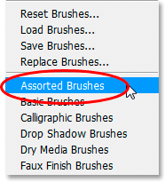Select the Assorted Brushes
