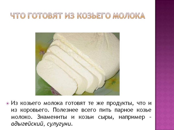 Рецепт сыра из молока козьего молока в домашних условиях рецепт с фото