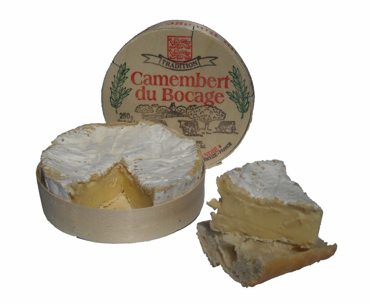 Чем отличается бри. Сыр Brie Camembert. Сыр Бри и камамбер. Французский сыр камамбер. Сыр камамбер Франция.