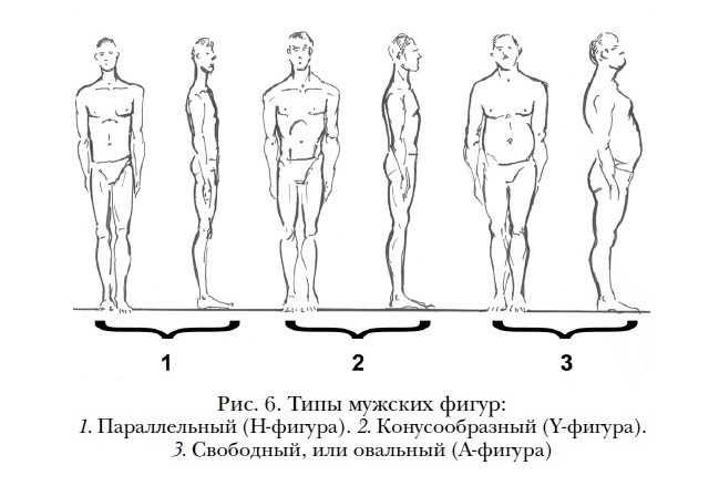Виды мужской фигуры. Типы мужских фигур. Типы мужского телосложения. Типажи фигуры мужчин. Телосложение вид сбоку.