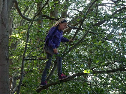 Tree Girl.jpg