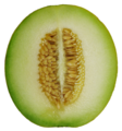 Cantaloupe Melon cross section.png