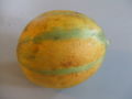 Honeydew.Melon.2.jpg