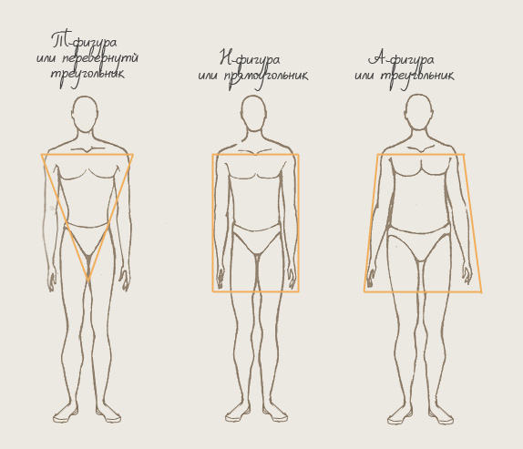 основные типы мужских фигур