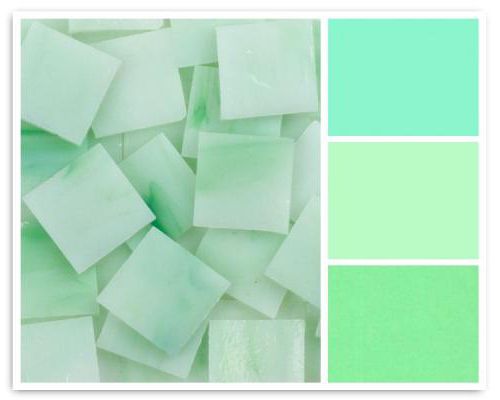цвет мяты